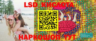 spice Ярославль