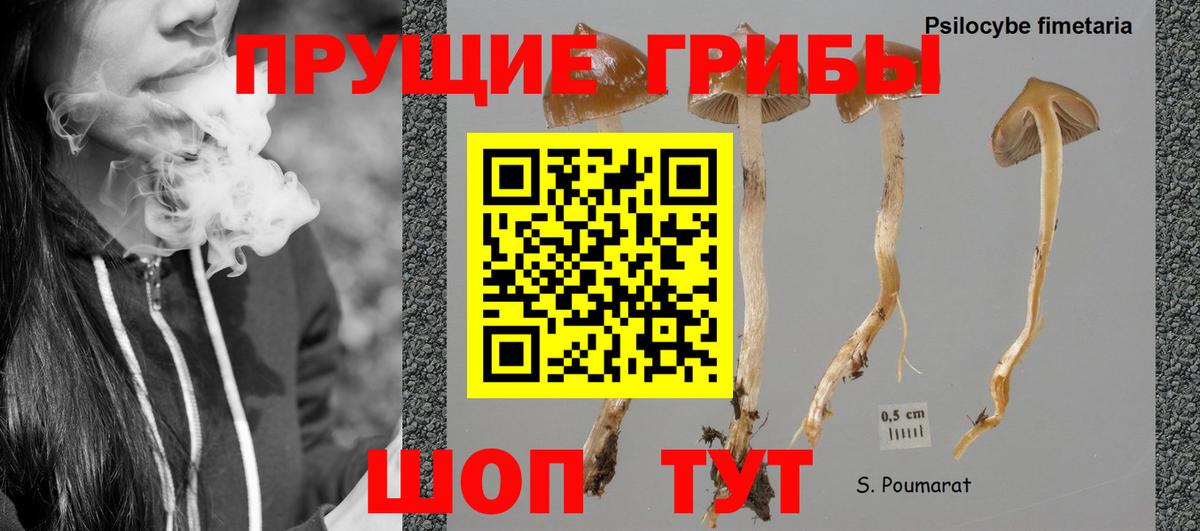 Галлюциногенные грибы мицелий Верхняя Пышма