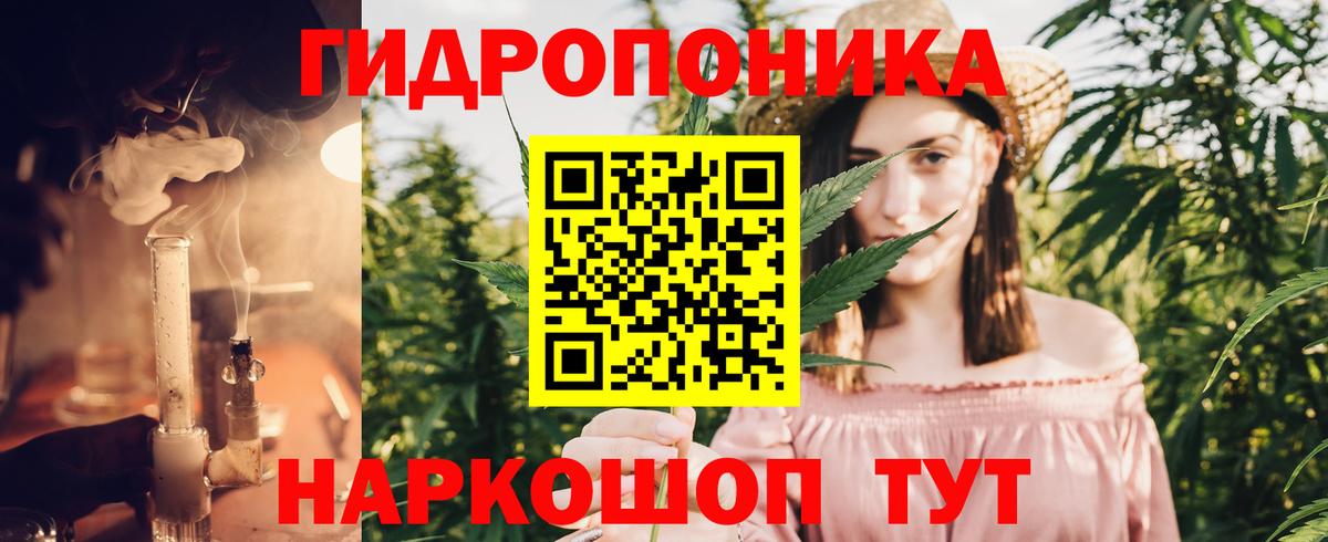 Каннабис MAZAR Верхняя Пышма